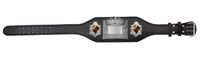 SMALL SILVER EAGLE CUSTOM CHAMPIONSHIP BELT PLT299/S/CUSTOM - AVAILABLE IN 4 COLOURS - BLACK, RED, BLUE, GREEN SMALL SILVER EAGLE CUSTOM CHAMPIONSHIP BELT PLT299/S/CUSTOM - AVAILABLE IN 4 COLOURS - BLACK, RED, BLUE, GREEN